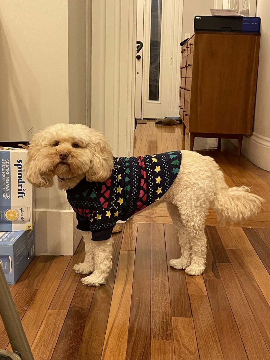 Toby Merrill tweet media