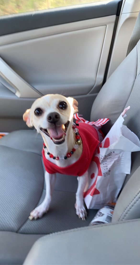 YoFlares's tweet photo. I think she’s happy to have Chick-fil-A 😂 https://t.co/ZGexJ4xxmJ