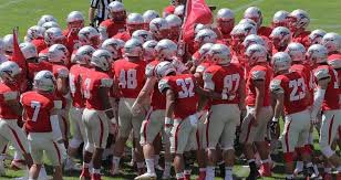 Luke Sandy tweet media