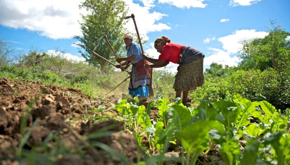 IntegrationFor's tweet photo. photo taken during #IPHR's monitoring &amp; Evaluation exercise to check on the progress of beneficiaries benefiting  from IPHR women empowerment programme in Kiryandogo. https://t.co/ThXUlNH0wY