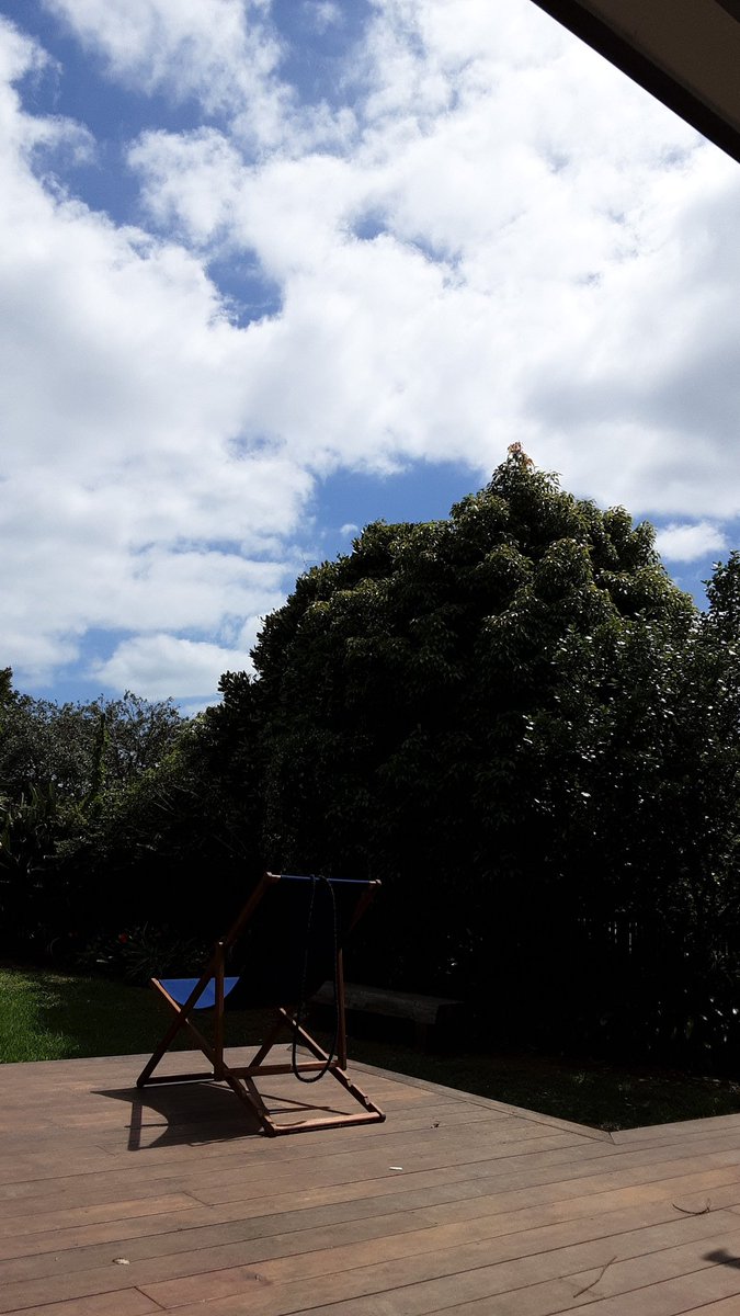 Lisa_Zate's tweet image. 今日もええ日や🌻🤩👍
🐷いこまいかい運動部🌸🌼
✅スクワット 20回
✅腕立て10回
✅逆立ち 30秒
✅腹筋40回往復
✅walking 1h 
🙌🙌🙌今日はfastingの日🙏
#ダイエット倶楽部 #老化防止 #exerciselover #水2L