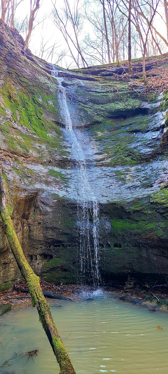 STEMLabOnTheGo's tweet photo. When the world gets heavy, I find a waterfall. Exploring the Rocky Bluff Trail in Southern Illinois.
#Hike #Hiker #SIL #IL #ILWX #ExploreIL #RockyBluffTrail #Waterfall https://t.co/AbRrU6iXJV
