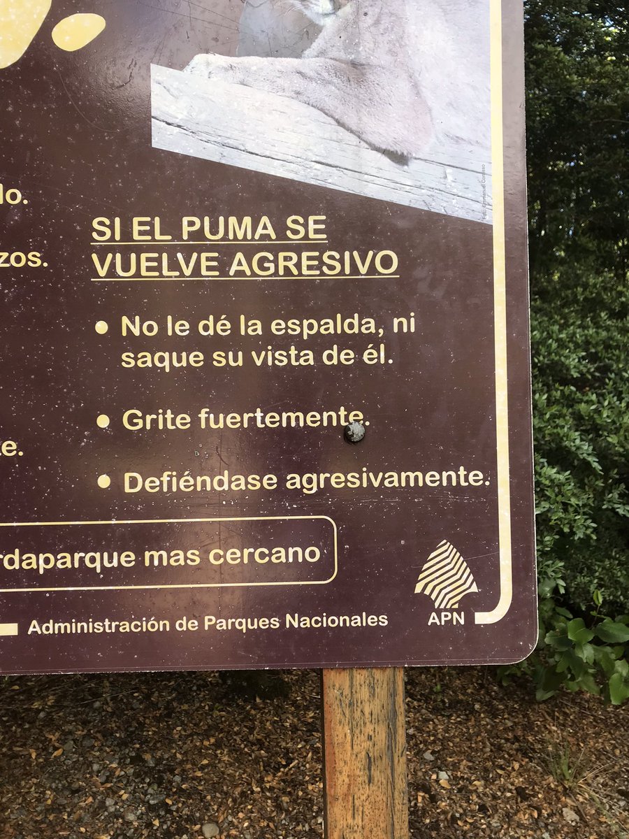 joacoria9's tweet photo. Básicamente, si te encontras un puma, cagate a trompadas con el puma https://t.co/dEqGgmKlxz