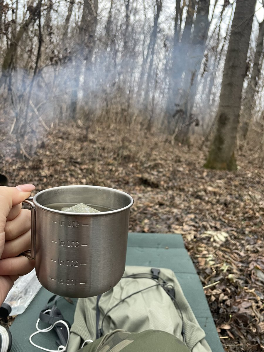 Needed some peace after all the chaos that happened these days  🌱⚡️ $ride #mora #survival #elrond $egld $mex