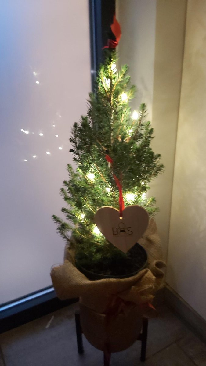 BasStoere's tweet photo. Fantastisch dat deze 600 boompjes weer in een mum van tijd de deur uit zijn. En nee, een week later moet je niet meer bestellen! Zo zalig dat het geloof in onze werking blijft bestaan. Orgaandonatie -transplantatie: veel dichter bij dan je denkt. https://t.co/jxNe9PljW9
