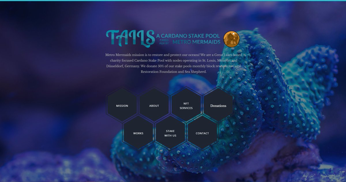 _mermada's tweet photo. Our new website is live!
https://t.co/RXGKaVcCpm
Faster loading with easier navigation. We hope you find this site more enjoyable.🥰🧜♀️🌊💙
#CardanoCommunity #spo #womenwhocode #CardanoStakePool #StakePoolOperator #TAILSStakePool #TAILS #cNFTMinter
#cNFTMinting #cNFTServices https://t.co/KsX7bRyDtp