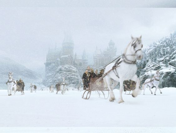 AcademiaDreams's tweet photo. Hogwarts Christmas https://t.co/DJfCSMkjhP