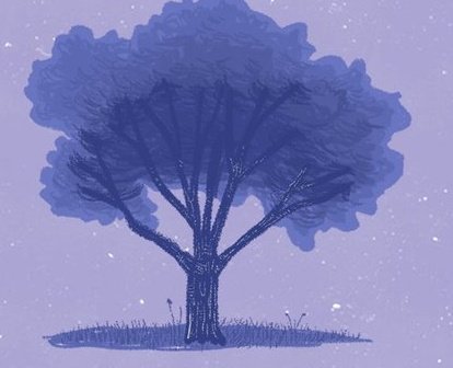 DiosceMartinez's tweet photo. Feliz por #Chile 🇨🇱🌳🏳️‍🌈🏳️‍⚧️
@gabrielboric https://t.co/kebctLEeJy