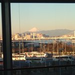 ツイートに含まれる画像