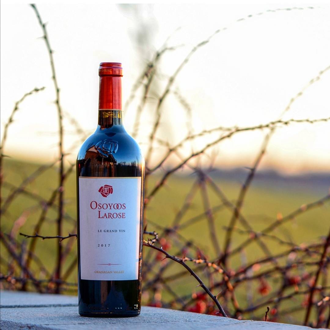 CanoesTo's tweet photo. Day 353 of 365 days of Canadian wine!
~
Tonight we've opened @osoyooslarose Le Grand Vin 2017
~
Notes of black cherry, blueberry and plum are complimented by hints of tobacco, cedar and leather with mouth coating, supple tannins. 
~
What are you drinking tonight?
~
#canadianwine https://t.co/IWItgNBXlj