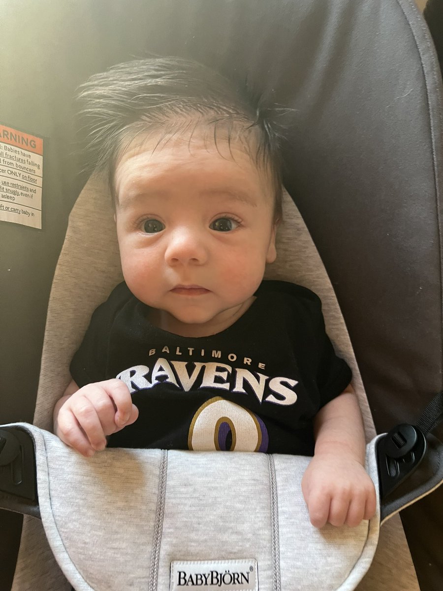 brittanyphil's tweet photo. #RavensFlock https://t.co/aj31LaRPWF
