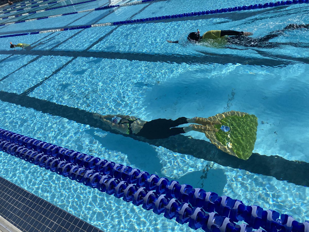 free_dive's tweet photo. More scenes from today’s #UNUfreediving comp in Tampa https://t.co/R8AWJPqDJ7