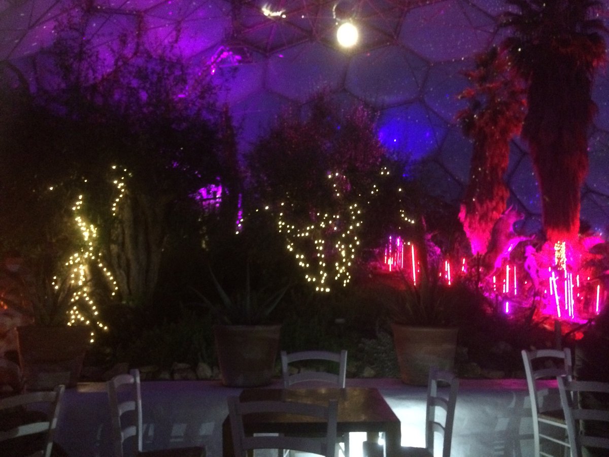 Christmas lights at the Eden Project 🎄