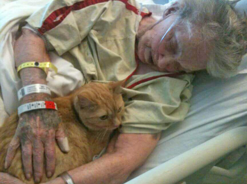 LorenzoTheCat's tweet photo. As she lay dying, this woman's last wish was to see her beloved cat Oliver. Her grandson brought the cat to the hospital and the nurses allowed the visit. The woman died shortly afterwards. ❤️ https://t.co/kuV6WqR6x4