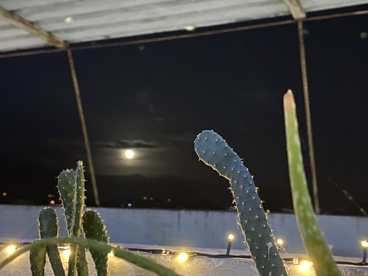 Glo_RamirezB's tweet photo. ¡Luna llena! 🌕 #lunaticasoy https://t.co/1sgSN5VAGo