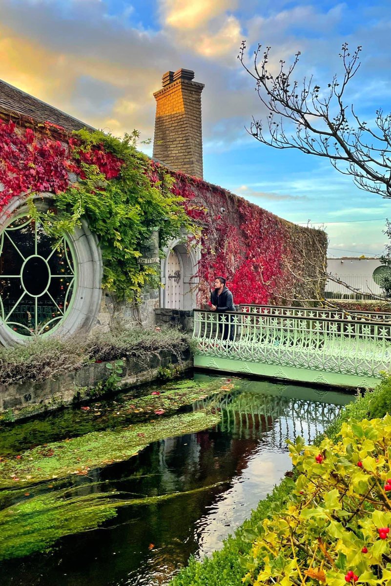 Beautiful and Wintery <a href="/CliffatLyons/">Cliff at Lyons</a> <a href="/KWTGAC/">Kildress Wolfe Tones</a>  <a href="/Failte_Ireland/">Fáilte Ireland</a> <a href="/GoToIrelandCA/">Tourism Ireland</a>