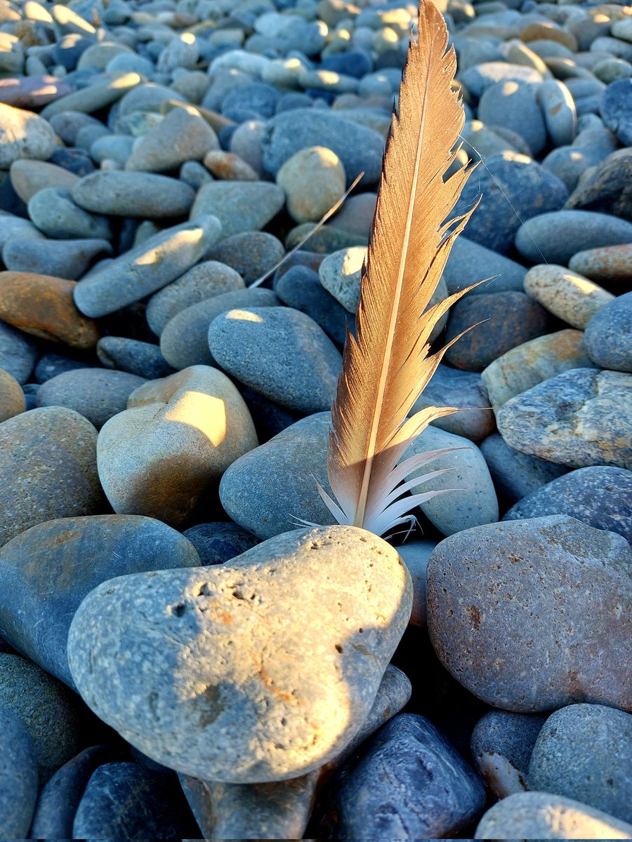 bmrees's tweet photo. Now, where's that pot of ink gone?π€ There's chrimbo cards to write #GetScribbling #BethsQuill #BimbleOnTheBeach #Pembrokeshire https://t.co/97wU0RueSr