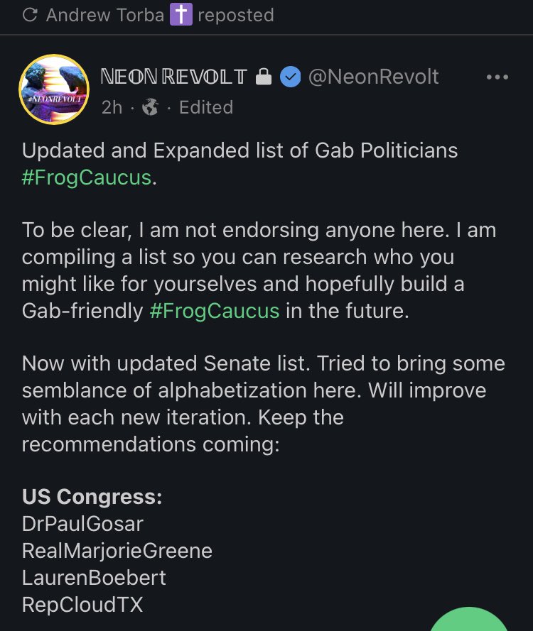 PokerPolitics's tweet photo. Neon Revolt adding to @AlKapDC work of tracking QAnon candidates by listing everyone running for office who has a Gab account. https://t.co/Exgz9Xhrg4