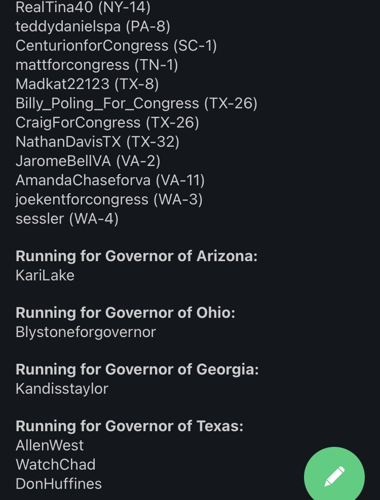 PokerPolitics's tweet photo. Neon Revolt adding to @AlKapDC work of tracking QAnon candidates by listing everyone running for office who has a Gab account. https://t.co/Exgz9Xhrg4