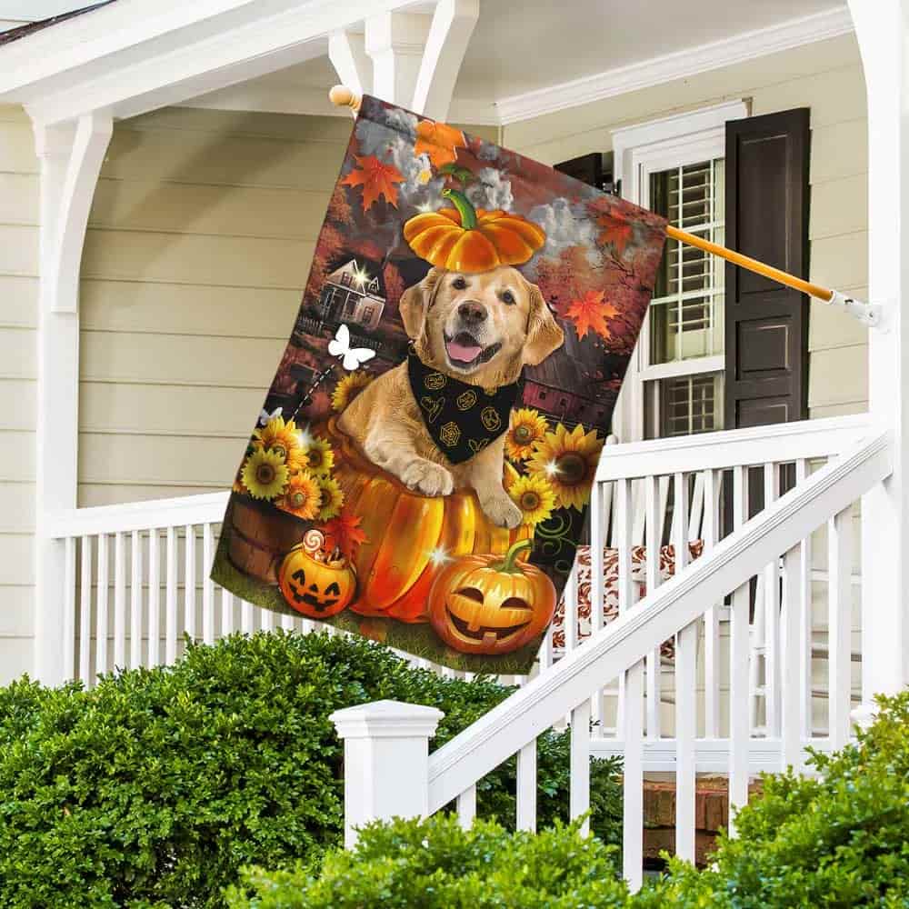 blogflagwix's tweet photo. Most of the items mentioned above can be used to make a wreath. You can utilize natural materials or anything at home to make it. 
#blogflagwix #falldecor #frontdoordecors
https://t.co/IdUMFSCv2j https://t.co/vrGoeVnVip