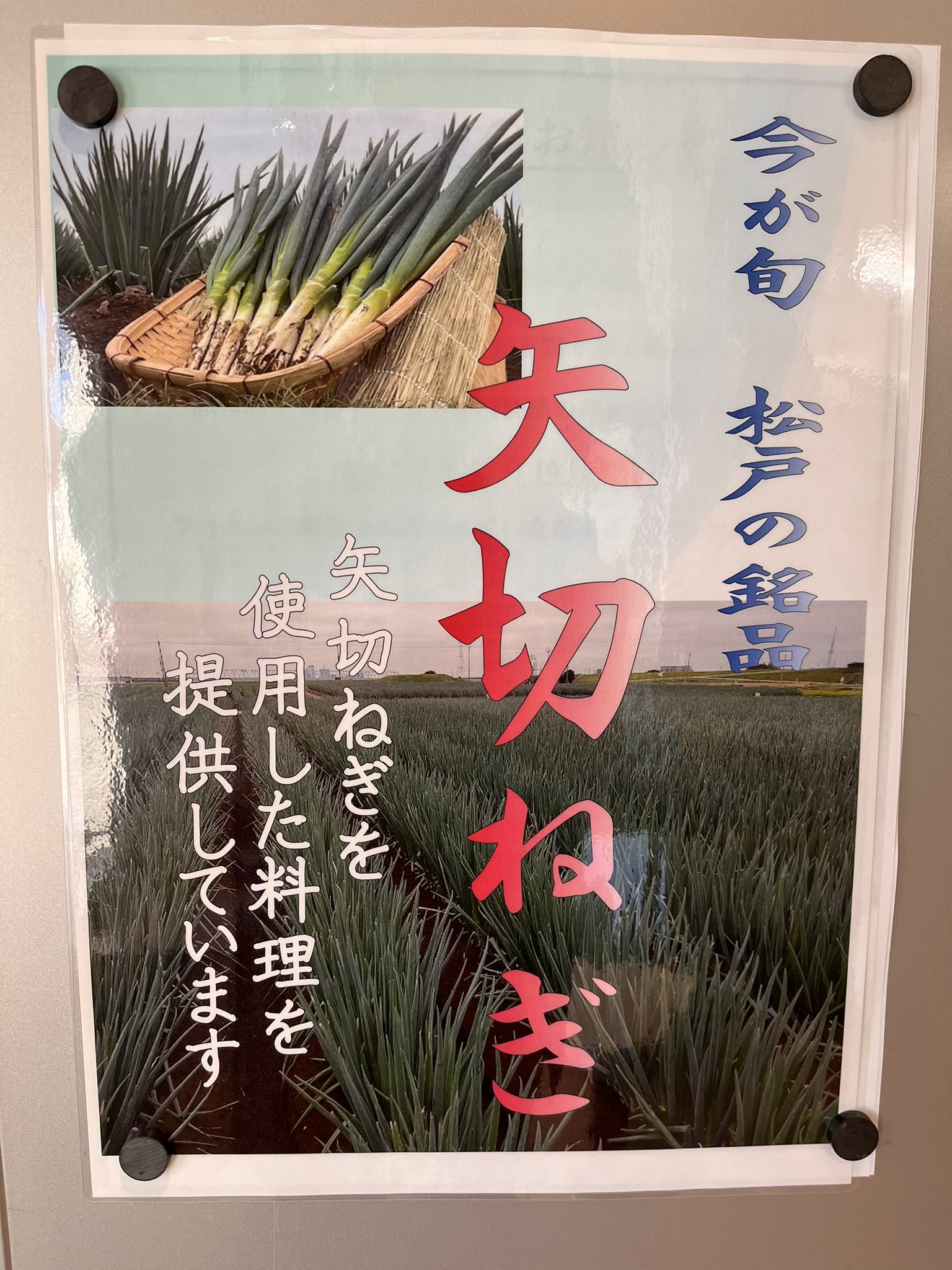 ラーメン専門の店 大勝 柏本店 公式 Ramen Daikatsu Twitter