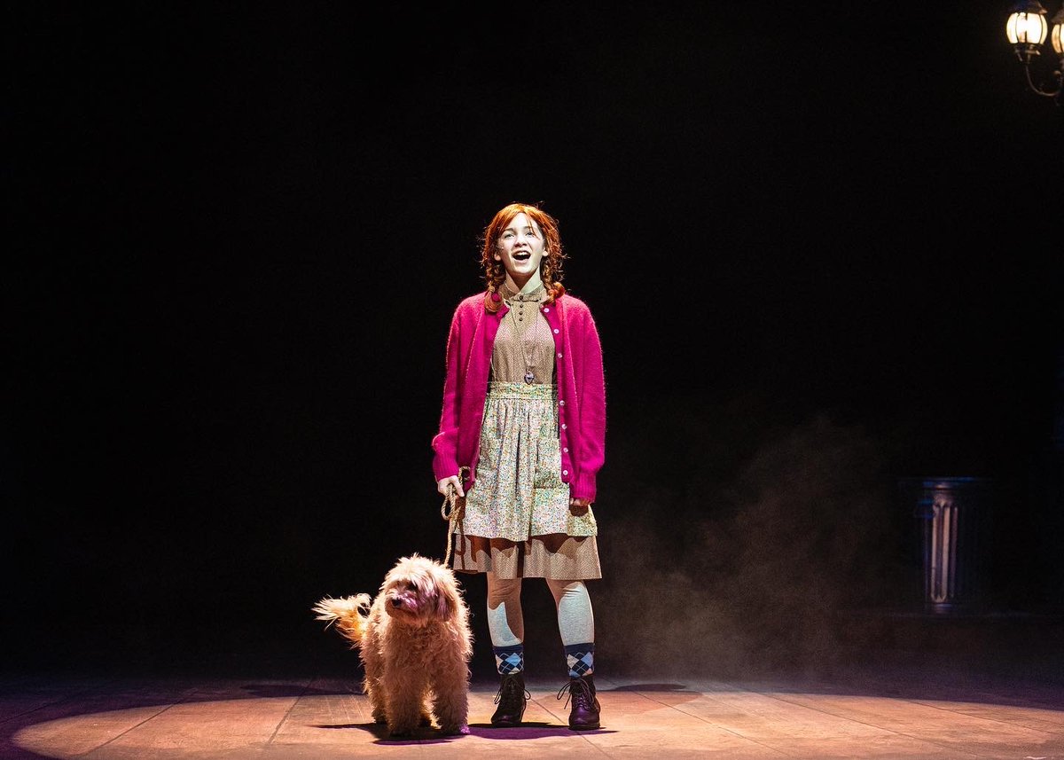 Leaping Lizards, what a show! 

Congratulations to the cast and crew of ANNIE on an amazing closing weekend! 

Live theatre returns to the NorShor in 2022!