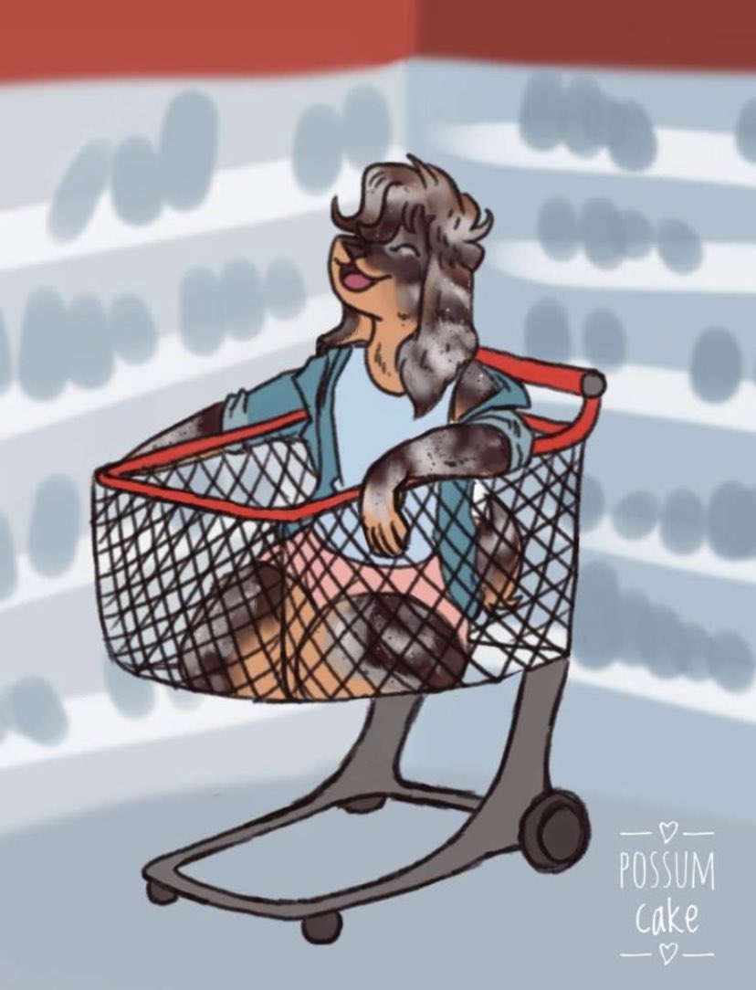 ‘ Come now, can’t tell me you don’t ride in shopping baskets.. ’
