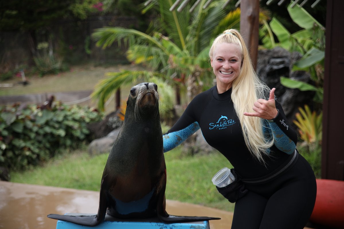 SeaLifePark's tweet photo. Join our Sea Life Park ‘ohana and enjoy perks like free admission for your immediate family and more! Explore our job openings today!

https://t.co/LzIKP8jVYZ https://t.co/maEIh89UJo