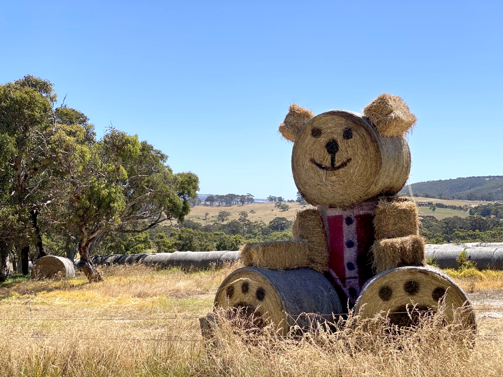 RuralBiz's tweet photo. CHRISTMAS TED 🎄//
We love seeing our rural communities celebrating the Christmas spirit.
RBS Business Financial Counsellor, Stuart Wilson found this adorable hay bale teddy bear in the beautiful #InmanValley

Have you put up a Christmas display? Tag us. #bushchristmas https://t.co/t7A3oRCHmR