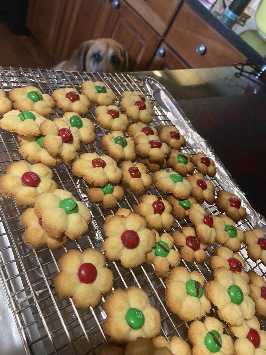 JoMarieHD's tweet photo. Cookie Day, 2021!! 💁🏼♀️🎄🎁#christmasvibes #ItsAWonderfulLife #WhiteChristmas #pizzelles #gingerbreadman #spritzcookies #jimmytrees #Christmas2021 https://t.co/AHSEkYONVS