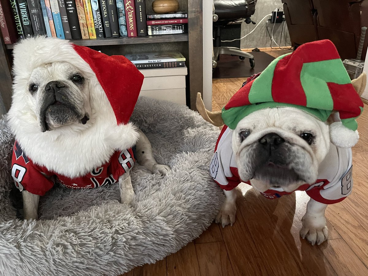 OvietheBulldog's tweet photo. IT’S HOCKEY O’CLOCK! #ALLCAPS #ROCKTHERED #LETSGOCAPS #SANTAOVIE checking his list and sees @GustlTweets on the #Naughty list for a few hours today 😉 sorry buddy! #ElfSaffyBean looks conflicted because she has so many friends in LA #CapsBulldog #CapitalsBulldog https://t.co/jsl9IOiRQA