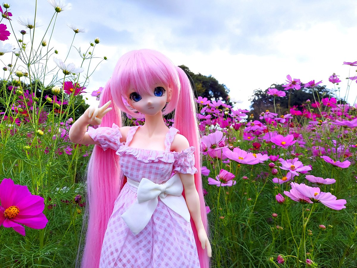 mache_39's tweet photo. #2021年お迎えしたドールを振り返ろうぜ
ボディチェンジも含めると実はうちのこ(ドール組)全員だったりする…

写真&amp;お迎え順に、( ()は愛称 )

マシェリ(シェリちゃんorシェリ姉)
アムール(アムちゃんorアム姉)
アヴリル(リル)
ネージュ(だいたいそのまま) https://t.co/K5SXvevsmD