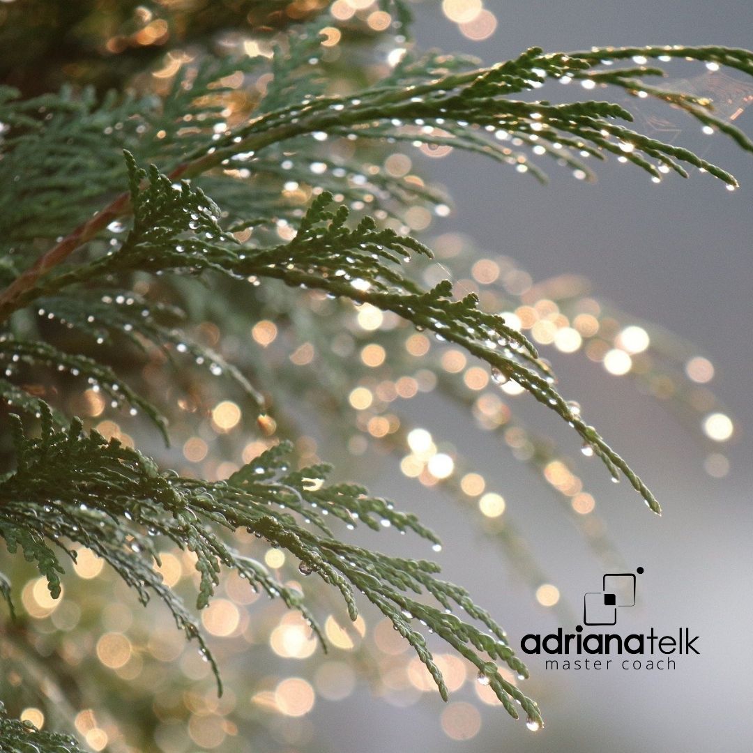 Viver no piloto automático é se esquecer de olhar para si com mais atenção. É importante se conhecer melhor, para que os #objetivos saiam do papel!

Ser-me-eis santos, porque eu, o Senhor , sou santo e separei-vos dos povos, para serdes meus (Lv 20:26).

#adrianatelk #autocuidado