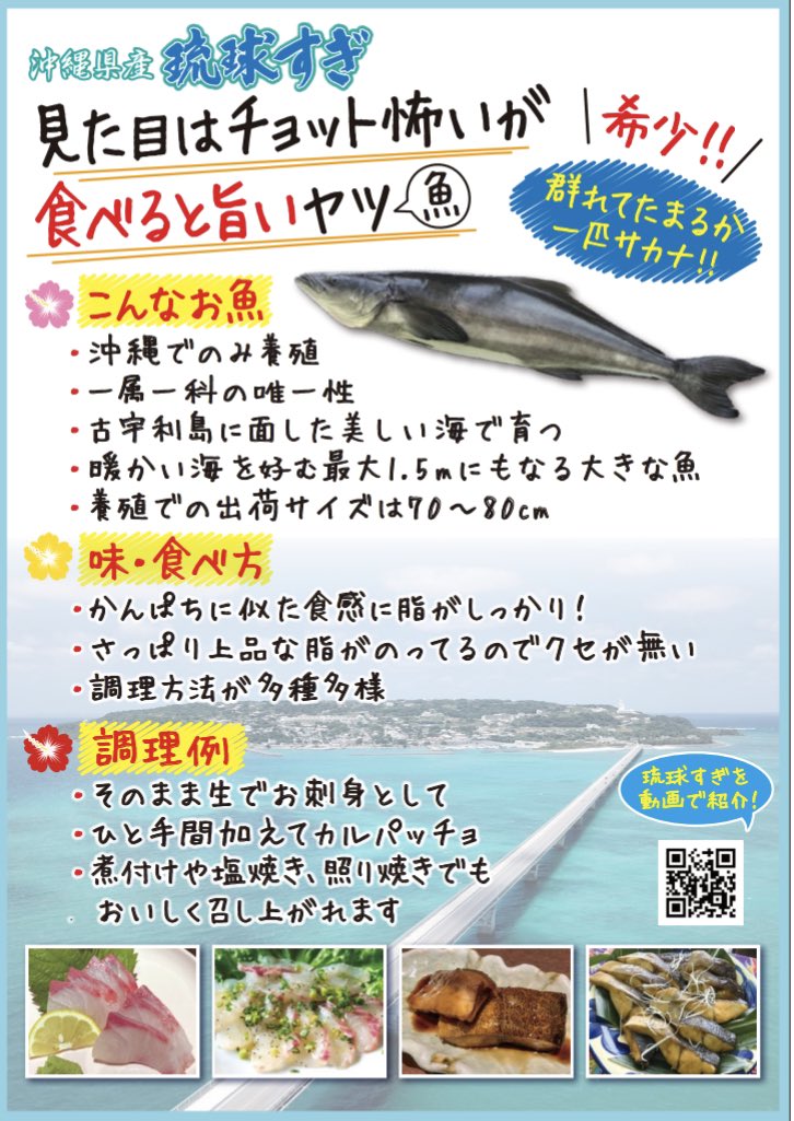 全国で愛されるお魚に Twitter Search Twitter 全国で愛されるお魚に Twitter Search Twitter