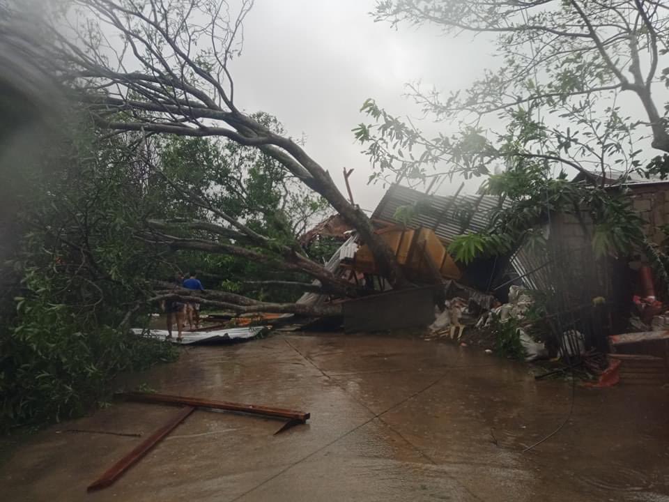 DaraWorld84's tweet image. Sipalay City is one of the most badly hit LGUs in Negros Occidental by Typhoon Odette. 
-NO Electricity 
-mobile signal is limited
-water lines are destroyed
-livestock and crops were severely affected
-barangay roads are mostly blocked.

#SipalayNeedsHelp TOO!