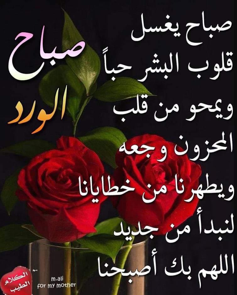 احمد ابراهيم (@ramda203040) on Twitter photo 