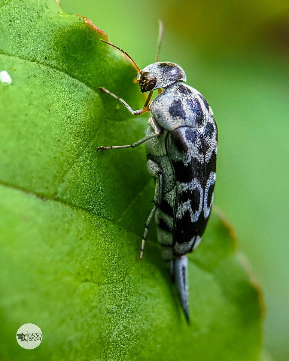 Sir Yearns-A-Lot tweet media