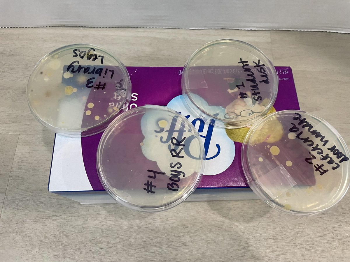 Ms_Araiza's tweet photo. We completed our Science Fair Project over which place in the school had the most bacteria?! We were surprised with the results!! https://t.co/sAIw1UnNJD