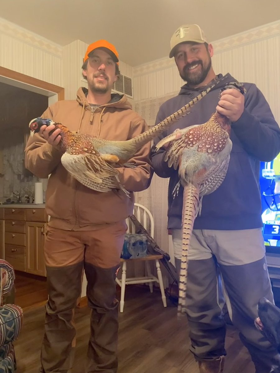 Coach_Esterline's tweet photo. Yep…two tennis coaches holding public land pheasant from Kansas! Day 1 of this trip was a success! https://t.co/wafUS81QN0