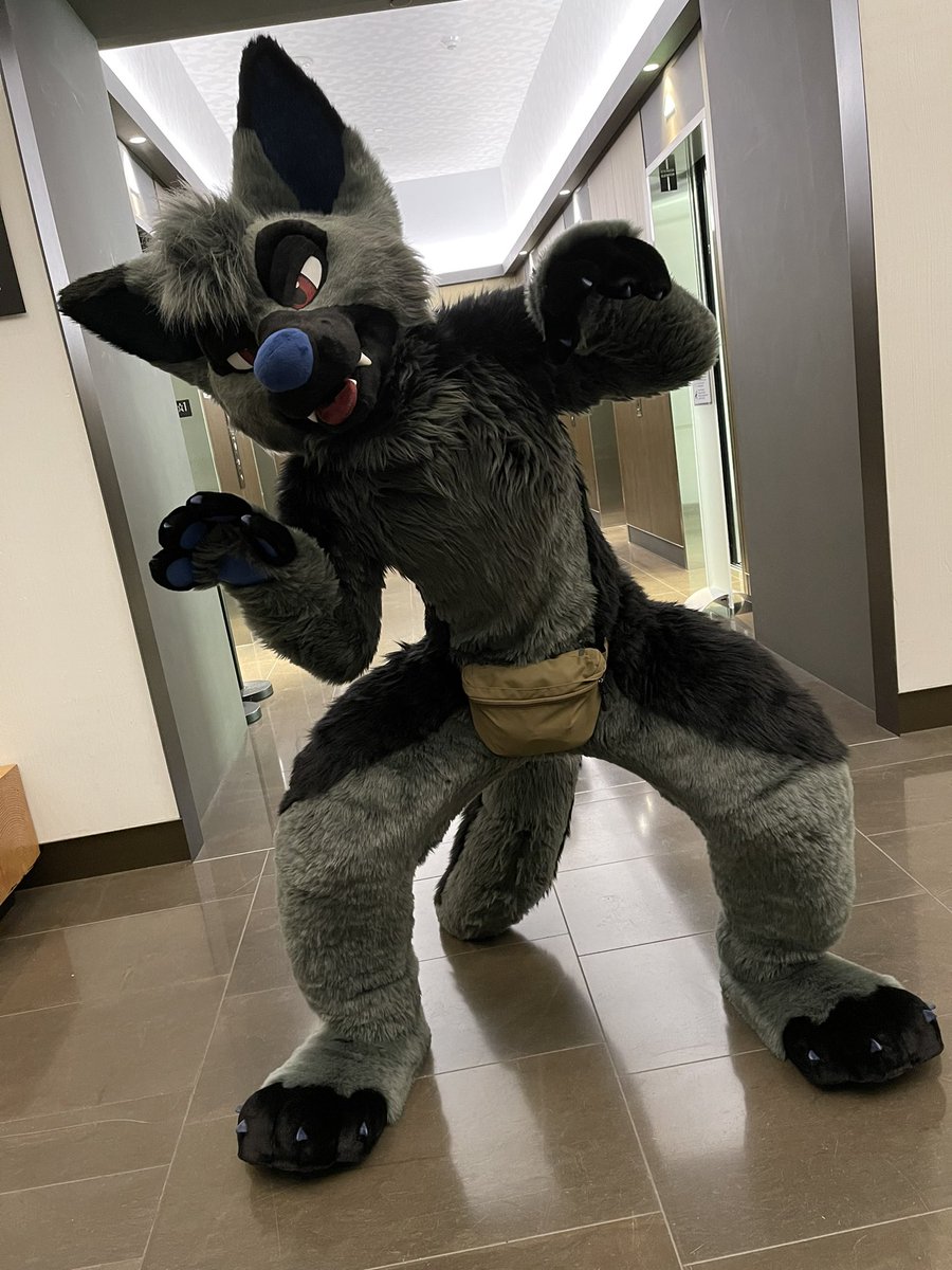 RookaRoo tweet media