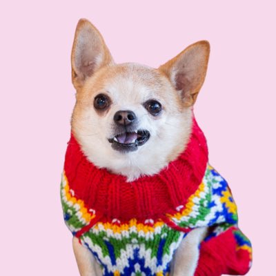 lilteddyconrad's tweet photo. #NewProfilePic https://t.co/nYKwOua1n4