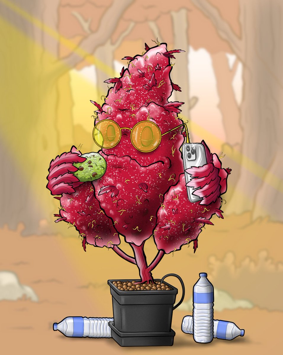 OGWeedNFT | Mint LIVE @0.5 SOL tweet media