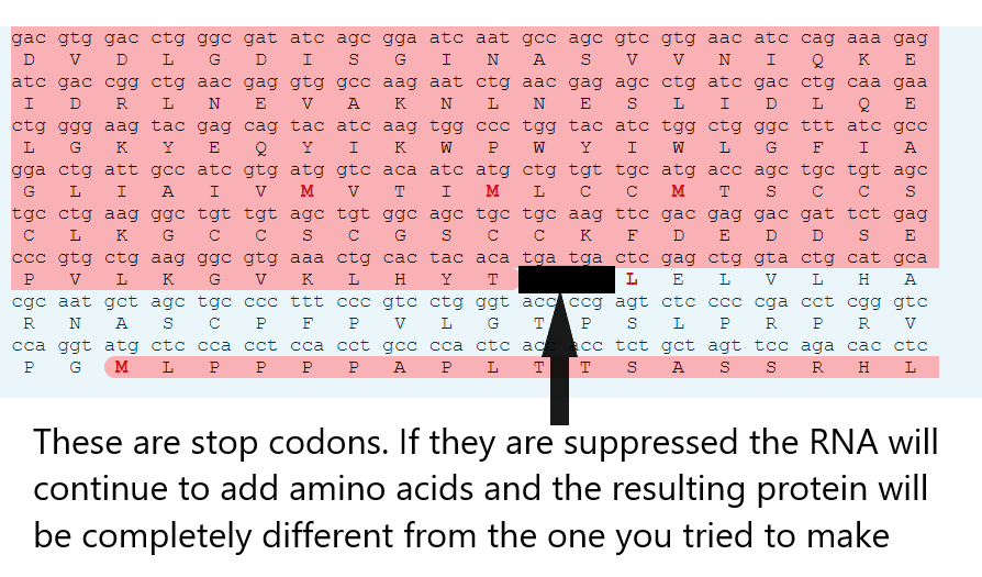 JikkyKjj's tweet photo. Oh crap! When they were coming up with this really smart idea to use #pseudouridine in a mRNA vaccine did they read this paper from 2015 that said that if they did that, the 3'UTR would be translated because the stop codons wouldn't work?

THIS IS WHY YOU DO CLINICAL TRIALS https://t.co/k3YfjDPnRy