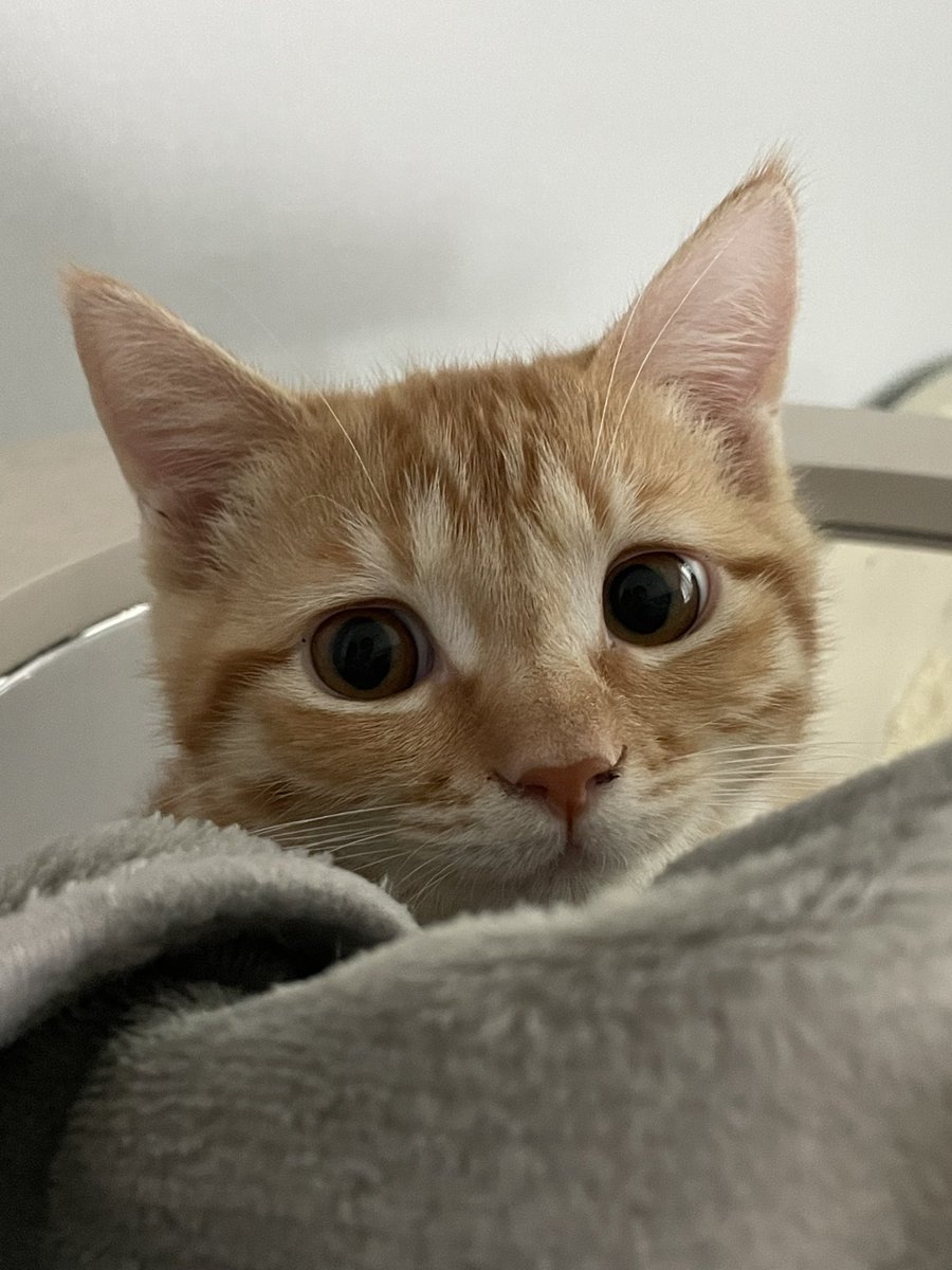 너무 기여워!!!!...