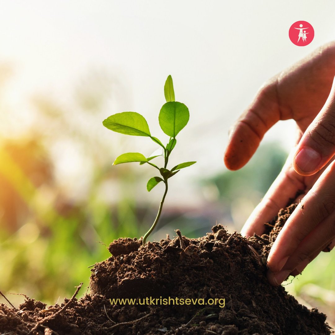 utkrishtseva's tweet photo. Someone is sitting in the shade today because someone planted a tree long ago. Be that someone for the future generations.
#Tree #Trending #savetheplanet https://t.co/devbzq7WXt