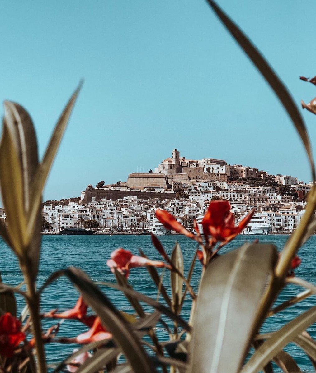 Happy Monday from beautiful Ibiza! #pachaibiza #Ibiza2021 #pacha #summer2021 #sun #paradise #summeriscalling #esvedra #exploreibiza #weloveourisland 📷 @jodieshiel