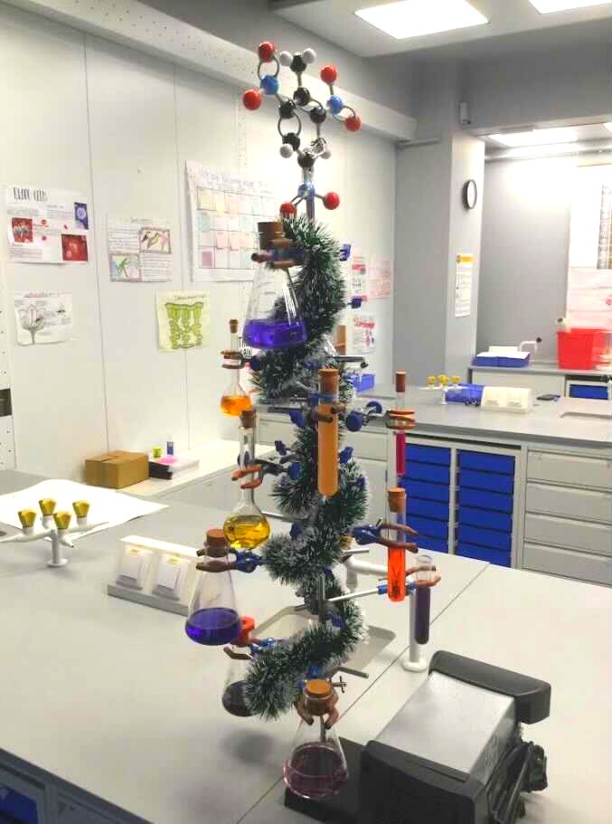 Transylvania College tweet media