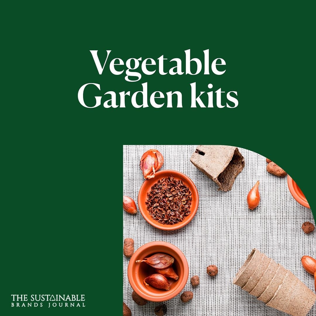 the_sbj's tweet image. 3. For those with a green thumb and hunger for doing right for the #planet, you can find vegetable or herb starter kits at brands like @growbarUK , @PropPlace
Or you can even #gift cards made of seeded papers which are as unique as they are useful!

#organic #natural #diy