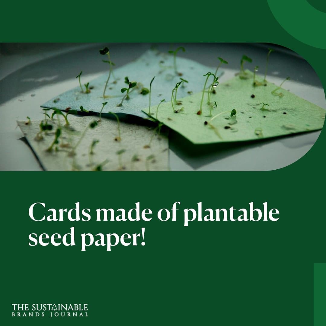 the_sbj's tweet image. 3. For those with a green thumb and hunger for doing right for the #planet, you can find vegetable or herb starter kits at brands like @growbarUK , @PropPlace
Or you can even #gift cards made of seeded papers which are as unique as they are useful!

#organic #natural #diy
