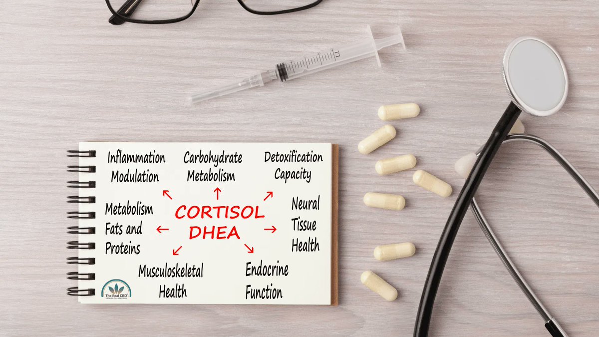 The_real_cbd's tweet photo. Could CBD lower your cortisol levels? Would it really make a difference to your well-being? Read more about CBD for lowering cortisol levels and feeling better! #cbdoil #cbdhealth #cortisol #betterhealth #bestcbdoil
https://t.co/qtQLx6GaEN https://t.co/cmsAoQ01pw